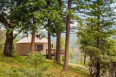 a cabin in the middle of a forest with trees at Yosemite Lakes Hillside Yurt 14 in Harden Flat