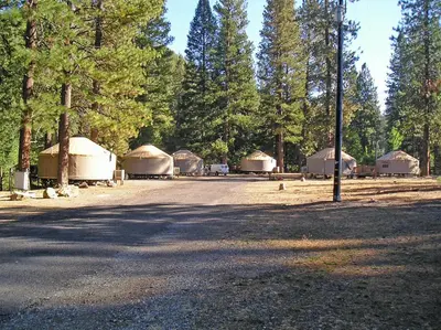 a group of tents in a field with trees at Yosemite Lakes Meadow Yurt 15 in Harden Flat