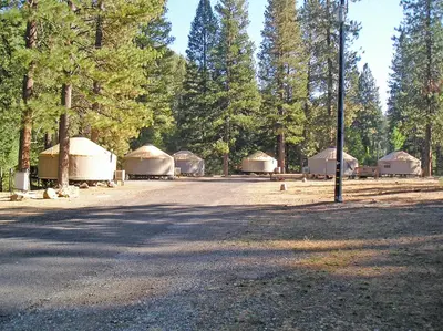 a group of tents in a field with trees at Yosemite Lakes Wheelchair Accessible Meadow Yurt 16 in Harden Flat