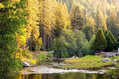 a river in the middle of a forest at Yosemite Lakes River Yurt 21 in Harden Flat