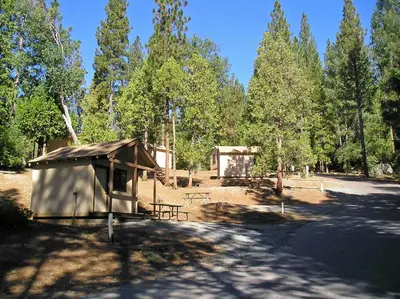 a small shelter in the middle of a forest at Yosemite Lakes Bunkhouses in Harden Flat