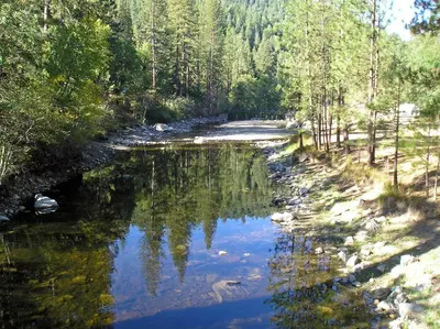 a river in the middle of a forest at Yosemite Lakes Cottage 49 in Harden Flat