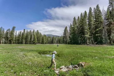 a man is standing in a field of grass at Holiday Inn Express & Suites Oakhurst-Yosemite Park Area by IHG in Oakhurst
