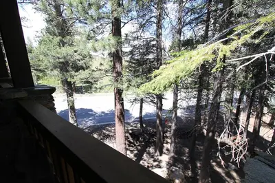 a view from a window of a forest at Mammoth Reservations in Mammoth Lakes