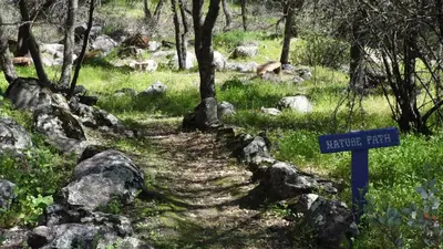 a trail with a blue sign next to some rocks at Little Valley Inn in Mariposa