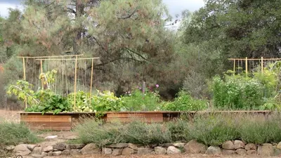 a garden with a bunch of plants at Yosemite Rose Bed and Breakfast in Groveland