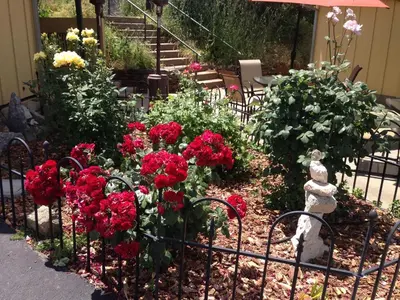 a garden with red flowers and a statue in it at Priest Station Cafe & Cabins in Groveland