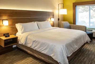 a hotel room with a large bed and a window at Holiday Inn Express Hotel & Suites Roseville - Galleria Area by IHG in Roseville