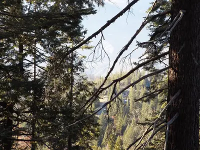 a view from the forest through the trees at Mystic Views in Yosemite West