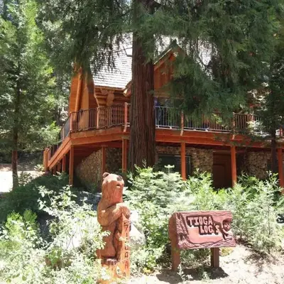 Tioga Logs