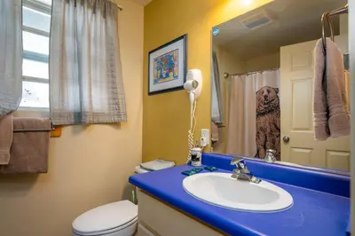 a bathroom with a sink and a toilet and a mirror at Falcons Nest (Downstairs) in Yosemite West