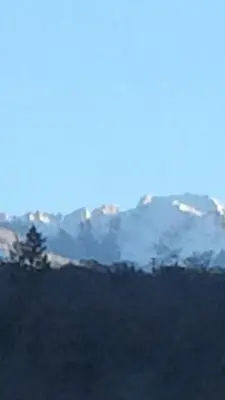 a snow covered mountain range with a tree in the foreground at Alta Peak Vista in Three Rivers