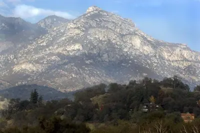 a mountain in the distance with trees in front of it at Alta Peak Vista in Three Rivers
