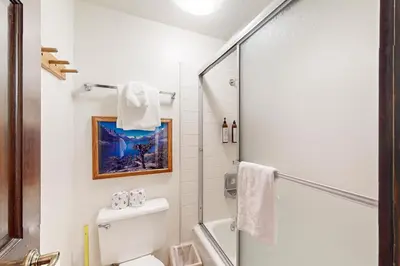 a bathroom with a toilet and a shower at Chateau Sans Nom 31 in Mammoth Lakes