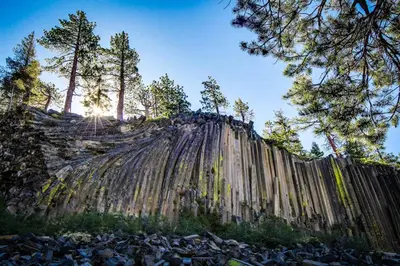 a wooden fence with trees on top of a hill at Courchevel 48 in Mammoth Lakes