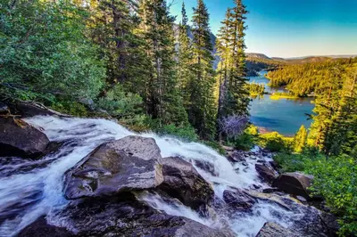 a river in the middle of a forest at Courchevel 48 in Mammoth Lakes