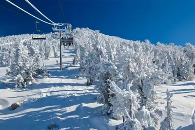 a ski lift with snow covered trees on a ski slope at Mammoth View Villas 30 in Mammoth Lakes