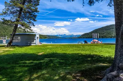 a view of a lake with a tree and a building at Donner Lakefront Retreat in Truckee