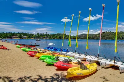 a row of boats lined up on a beach at Forest Treasure (01/497) in Groveland