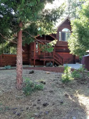 a log cabin with a tree in front of it at Kingswood Estate Cabin Retreat in Kings Beach