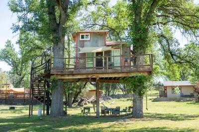 a tree house in the middle of a tree at Hawk's Rest in Oakhurst