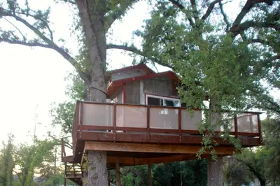 a tree house in a tree at Hawk's Rest in Oakhurst