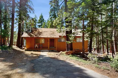 a small house in the middle of a forest at Tahoma Getaway in Tahoma