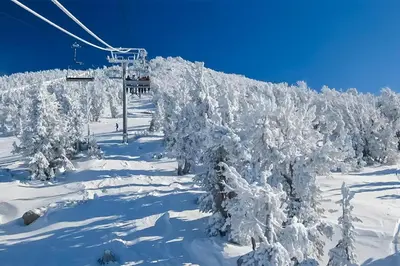 a ski lift with snow covered trees on a ski slope at The Bridges 102 in Mammoth Lakes