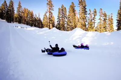 a group of people riding on snowboards in the snow at Wildflower 55 in Mammoth Lakes
