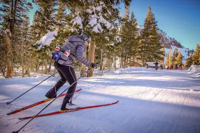 a person is on skis in the snow at Wildflower 55 in Mammoth Lakes