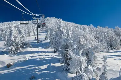 a ski lift with trees covered in snow at La Vista Blanc 39 in Mammoth Lakes