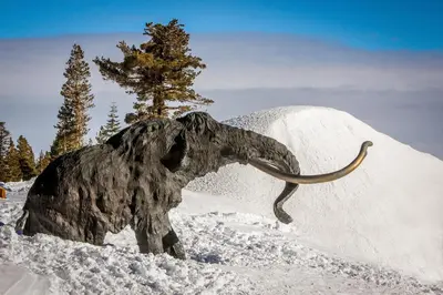 a statue of an mammoth in the snow at La Vista Blanc 39 in Mammoth Lakes