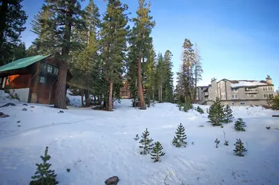 a snow covered yard with trees and a building at Silver Bear # 20 in Mammoth Lakes