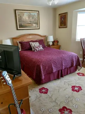a bedroom with a purple bed and a tv at Engvadonia Yosemite B and B in Mariposa