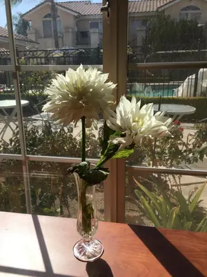 two white flowers in a glass vase on a table at Garden Inn and Suites Fresno in Fresno