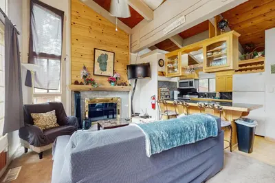 a living room with a couch and a fireplace at Saddle Road Condo in Bijou Park