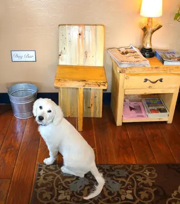 a white dog sitting on a rug in a room at The Trailhead in South Lake Tahoe