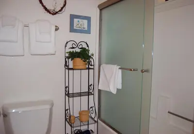 a bathroom with a shower and a toilet with a plant at 23A Big Cedar in Wawona