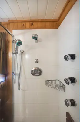 a shower with a shower head in a bathroom at 14 Chipmunk Hollow in Wawona