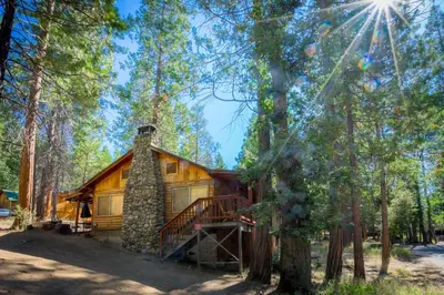 a log cabin in the woods with trees at 76 Howards Retreat in North Wawona