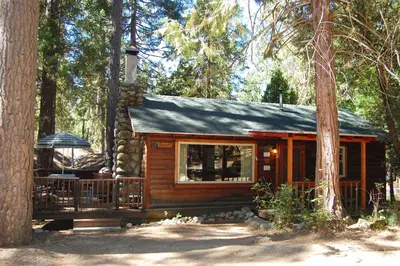 a cabin in the woods with a porch and an umbrella at 18 Le Fawn in North Wawona