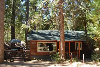 a log cabin in the woods with a tree at 18 Le Fawn in North Wawona