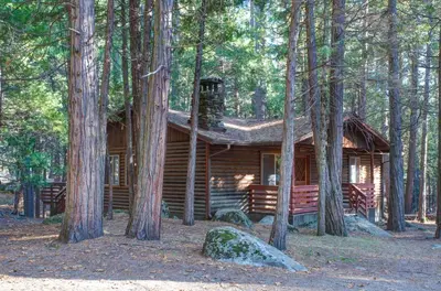 a log cabin in the middle of the forest at 4 Pine Creek Cabin in North Wawona