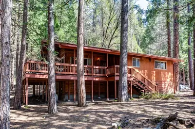 a log cabin in the woods with trees at 23B Robins Nest in North Wawona