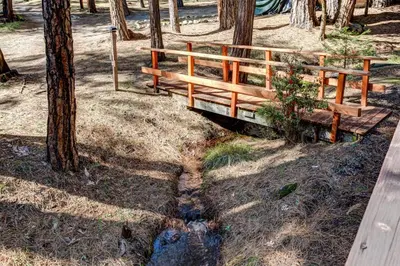 a wooden bench sitting in the middle of a forest at 51 Mia Mora in Wawona