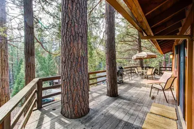 a wooden deck with trees on a house at 17B Tylers Timber Lodge in Wawona