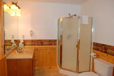 a bathroom with a shower and a sink and a toilet at 44R Grant's Camp in Wawona