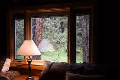 a living room with a window with a couch and a lamp at 52 Tuolumne Meadow in Wawona