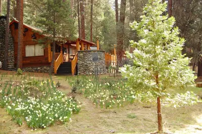 a cabin with a tree and flowers in front of it at 52 Tuolumne Meadow in Wawona