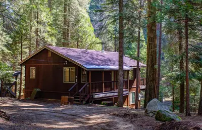 a cabin in the woods with trees at 1S Cecils Cabin in South Wawona